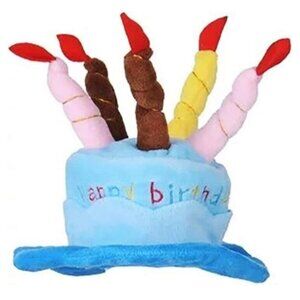 Small Happy Birthday Hat With Chin Strap For Babies, Toddlers and or Small Pets!